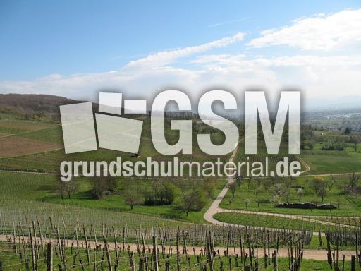 Weil am Rhein 002.jpg